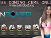 Situs Domino Ceme Online & Alasan Gagalnya Bermain